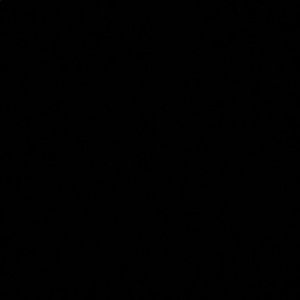 Meet your Posher, Javier